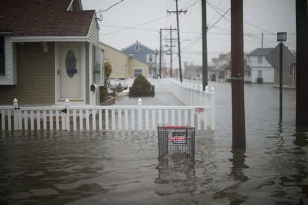 Homeowner, water damage flood